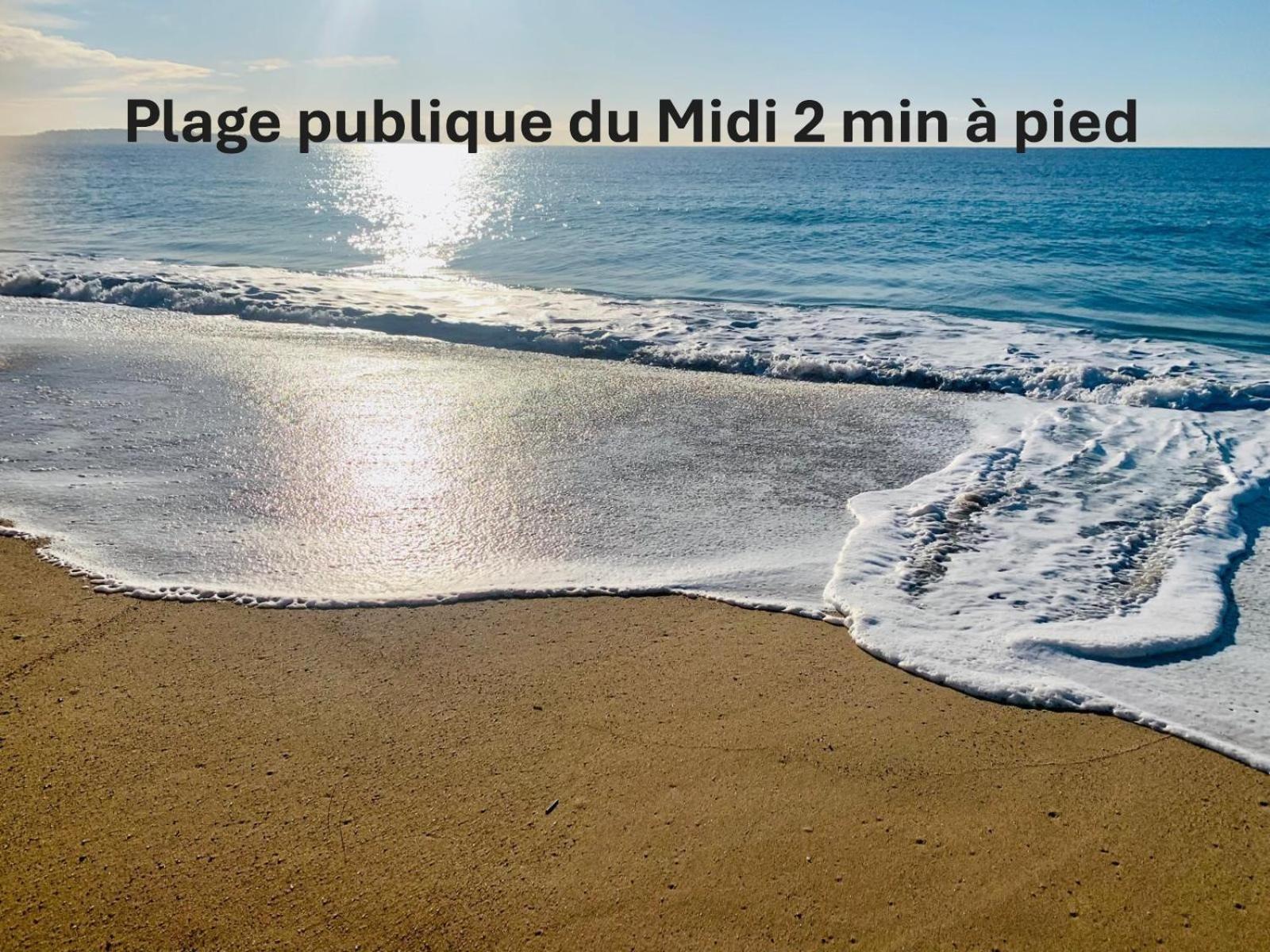 Studio Lumineux 200 M Des Plages A0B192 Cannes Eksteriør billede